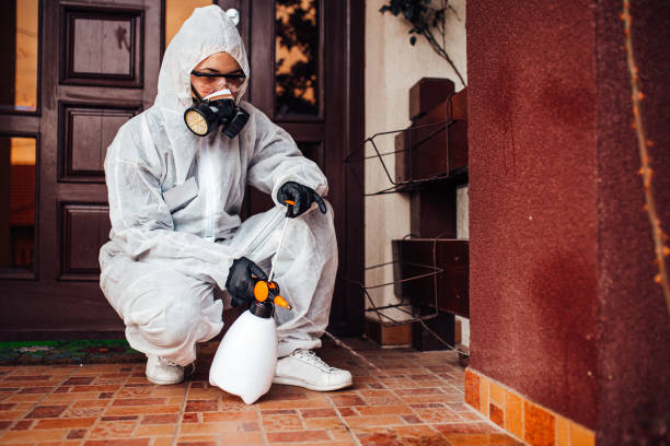 Reliable Cockroach Control contractor in Omak, WA by Nex Pest Control